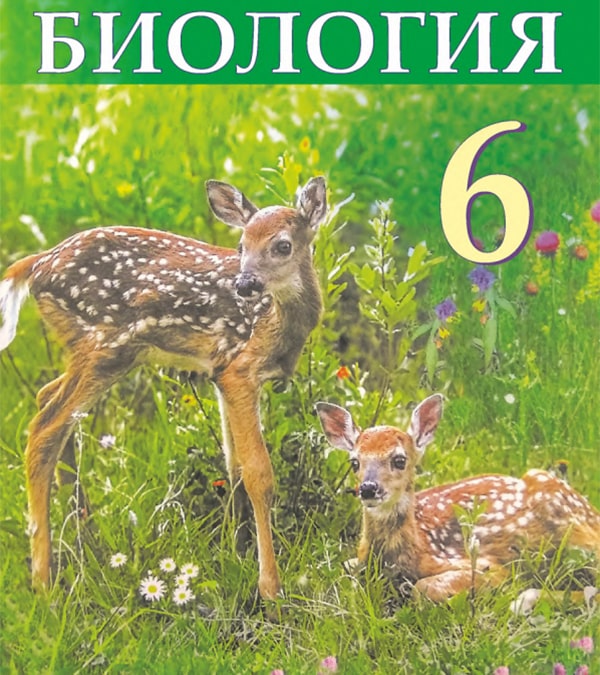 Биология, 6 класс