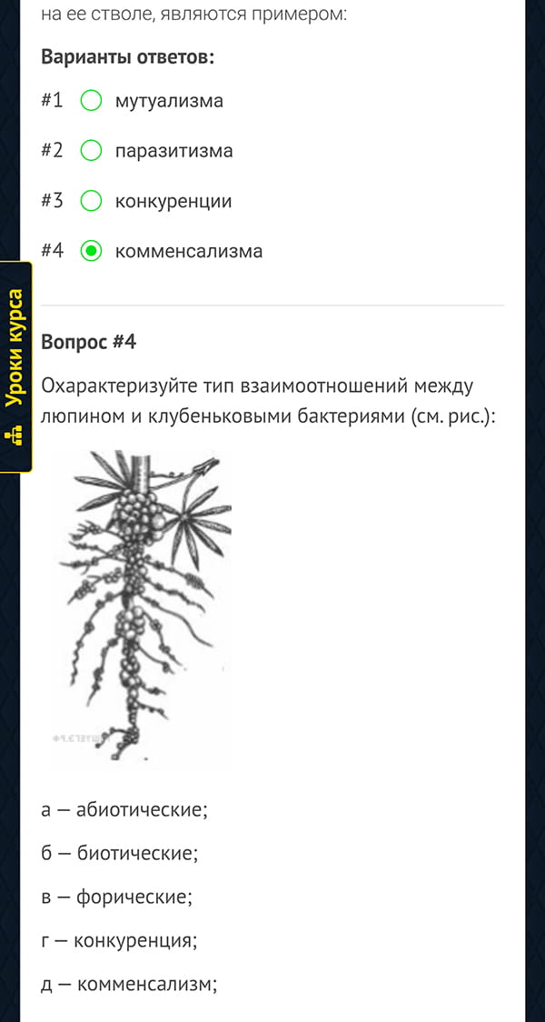 Онлайн-платформа Лазуркина - 21